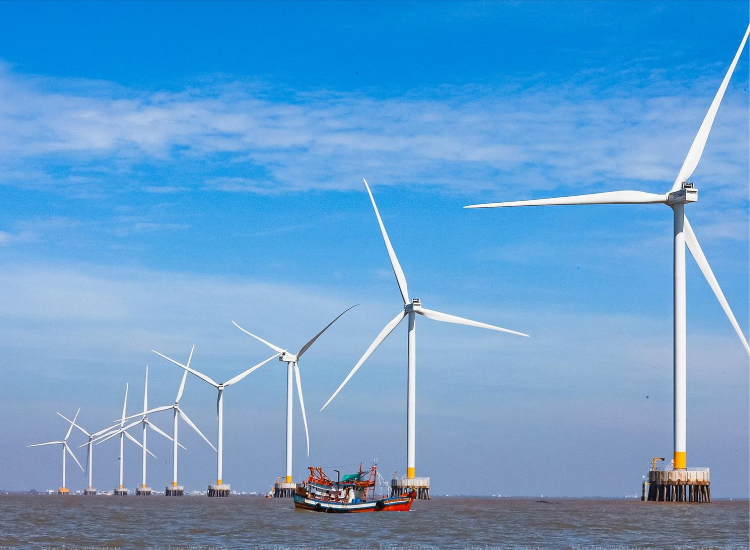 Cánh đồng điện gió Cà Mau với turbine gió khổng lồ – điểm tham quan nổi tiếng